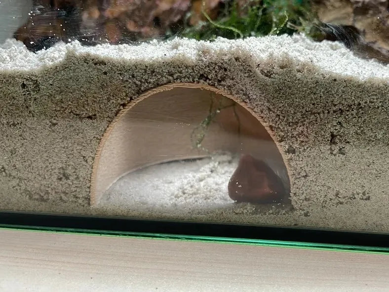 Undergound Dome Cave Hideout