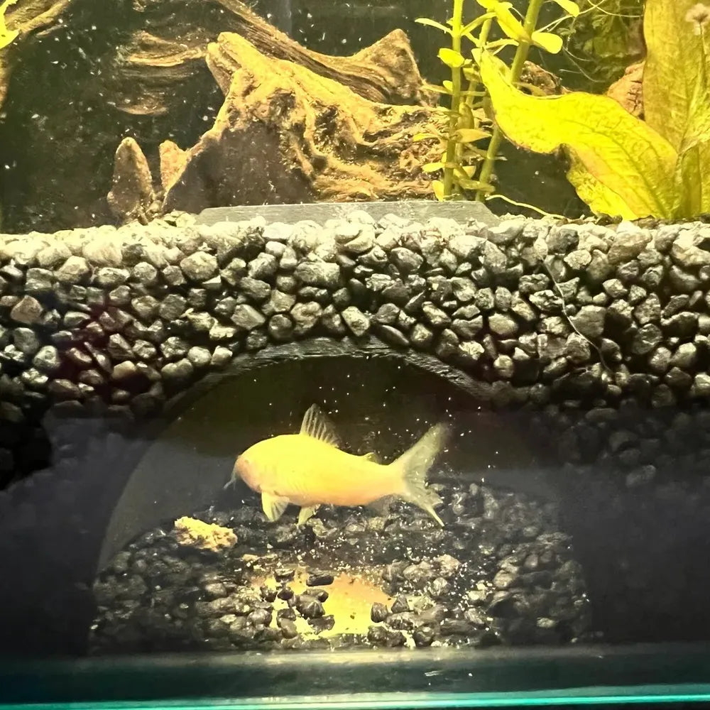 Undergound Dome Cave Hideout