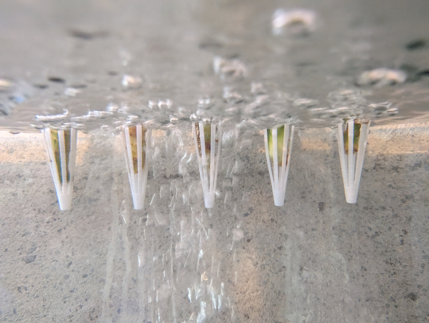 Aquaponic Hanging Cutting Pods